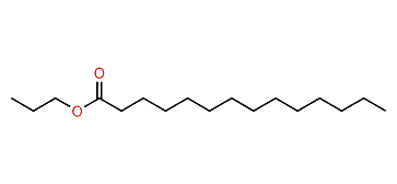 Propyl tetradecanoate